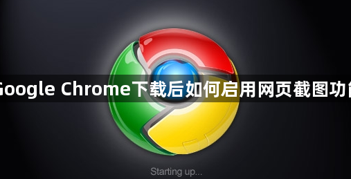 Google Chrome下载后如何启用网页截图功能1