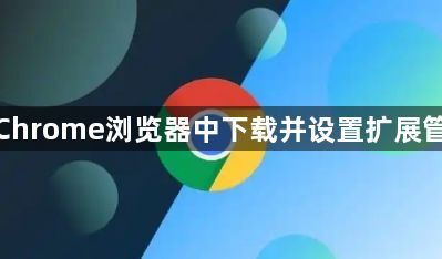 如何在Chrome浏览器中下载并设置扩展管理选项1