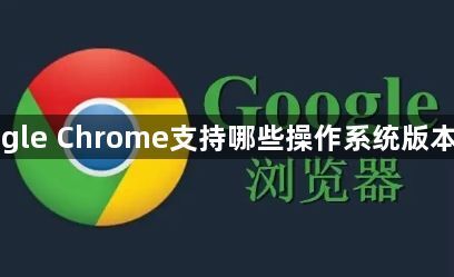 Google Chrome支持哪些操作系统版本下载1