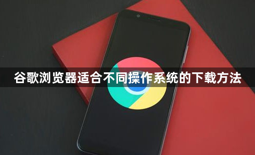 谷歌浏览器适合不同操作系统的下载方法1