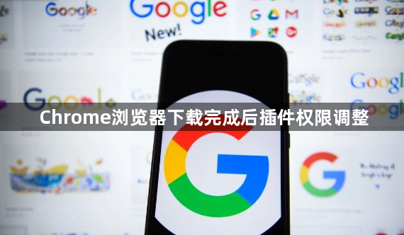Chrome浏览器下载完成后插件权限调整1