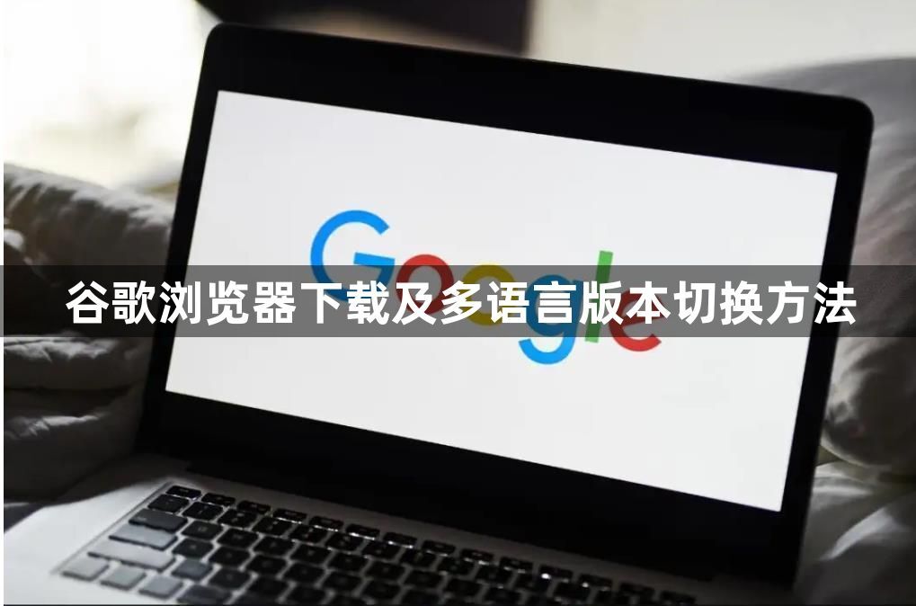 谷歌浏览器下载及多语言版本切换方法1