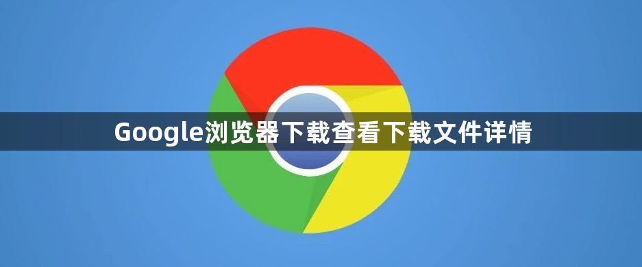Google浏览器下载查看下载文件详情1