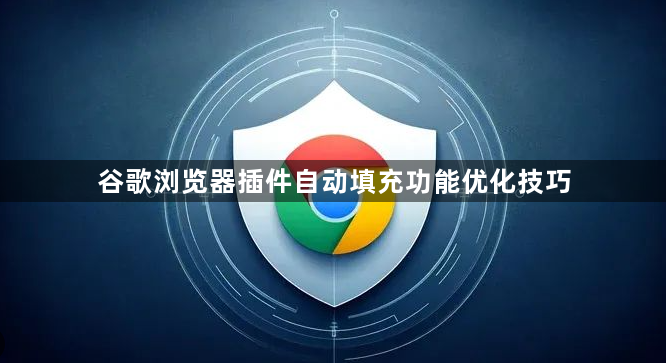 谷歌浏览器插件自动填充功能优化技巧1