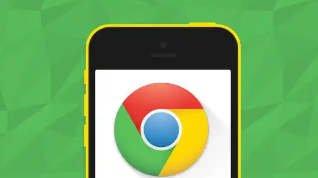 Google Chrome插件用户隐私保护技术方案