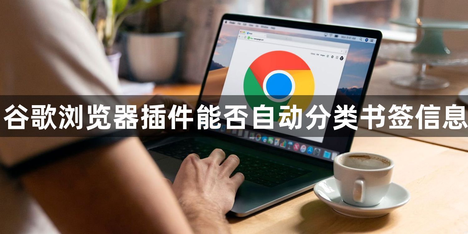 谷歌浏览器插件能否自动分类书签信息1