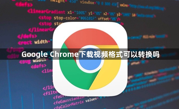 Google Chrome下载视频格式可以转换吗1