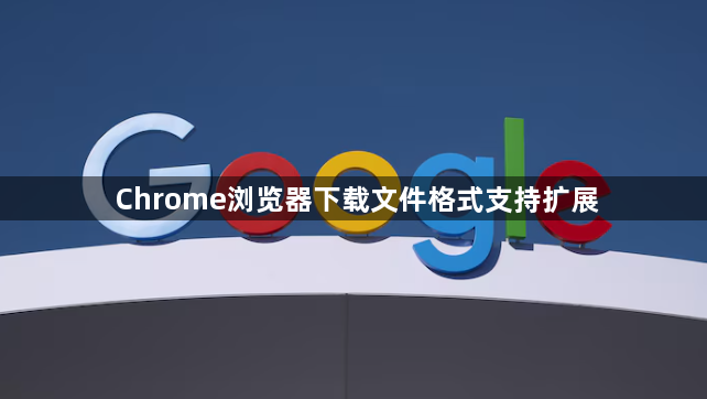 Chrome浏览器下载文件格式支持扩展1
