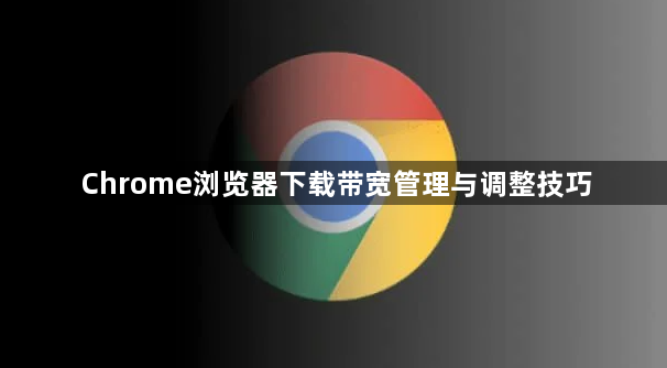 Chrome浏览器下载带宽管理与调整技巧1