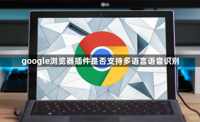 google浏览器插件是否支持多语言语音识别1
