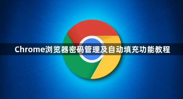 Chrome浏览器密码管理及自动填充功能教程1