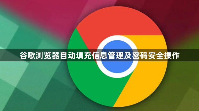 谷歌浏览器自动填充信息管理及密码安全操作1