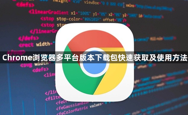 Chrome浏览器多平台版本下载包快速获取及使用方法1